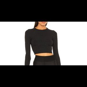 Caiman Crocodile 3D Crop Top in Jet Black